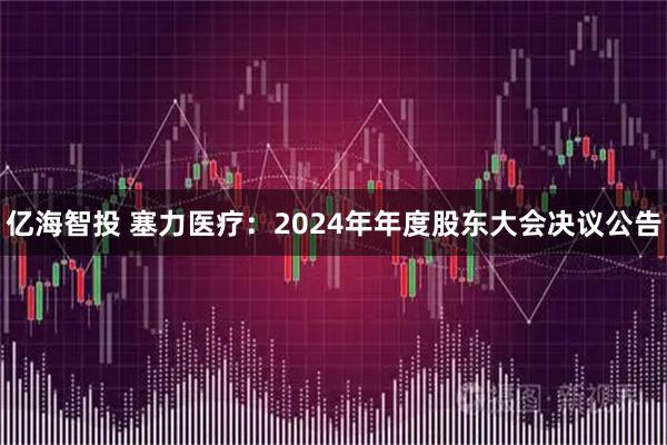 亿海智投 塞力医疗：2024年年度股东大会决议公告