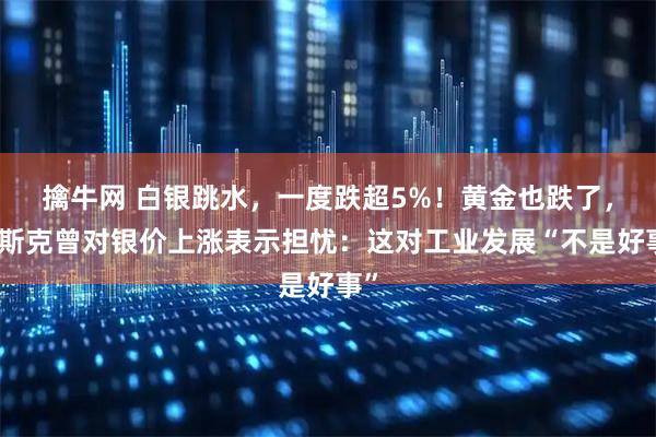 擒牛网 白银跳水，一度跌超5%！黄金也跌了，马斯克曾对银价上涨表示担忧：这对工业发展“不是好事”