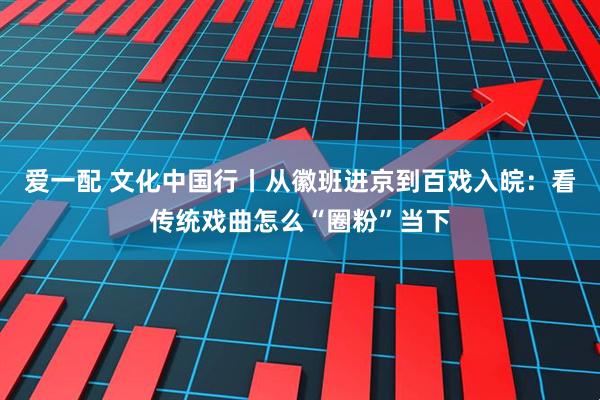 爱一配 文化中国行丨从徽班进京到百戏入皖：看传统戏曲怎么“圈粉”当下