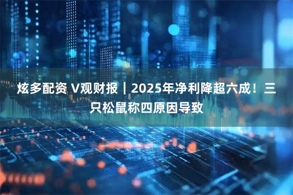 炫多配资 V观财报｜2025年净利降超六成！三只松鼠称四原因导致
